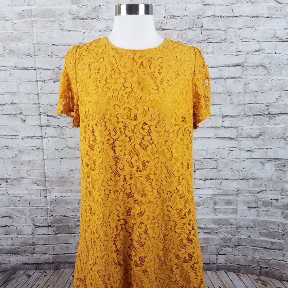 Loft Ann Taylor dress 8 mustard yellow lace shift